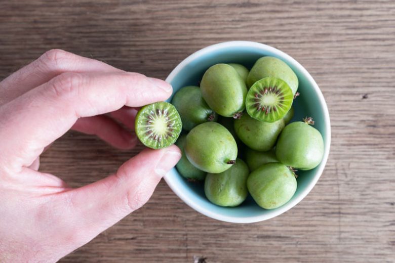 Mini Kiwi Actinidia Arguta - Planta care se poate planta in Romania